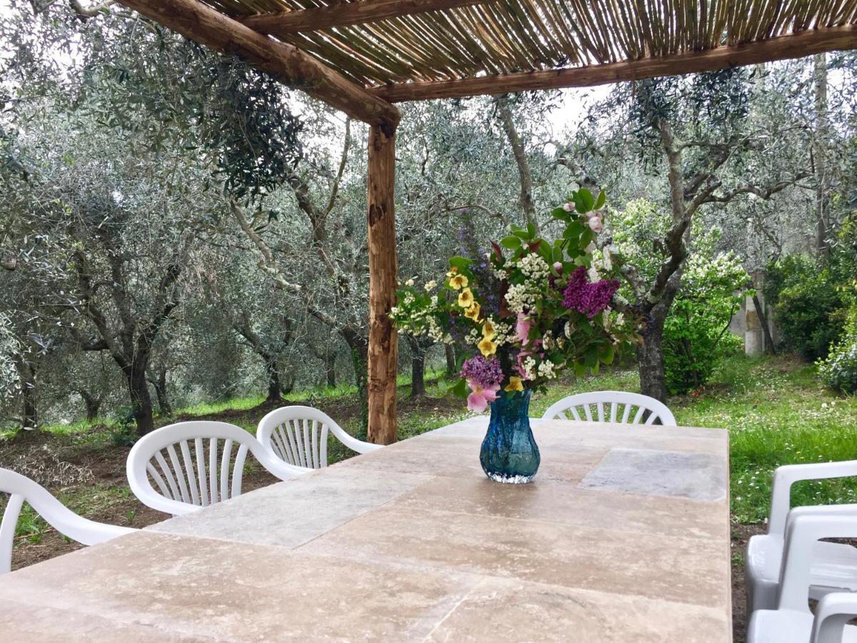 Agriturismo Fattoria Celle Figline Valdarno Eksteriør bilde