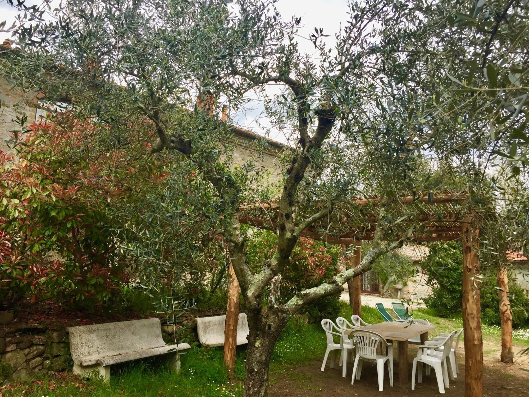 Agriturismo Fattoria Celle Figline Valdarno Rom bilde