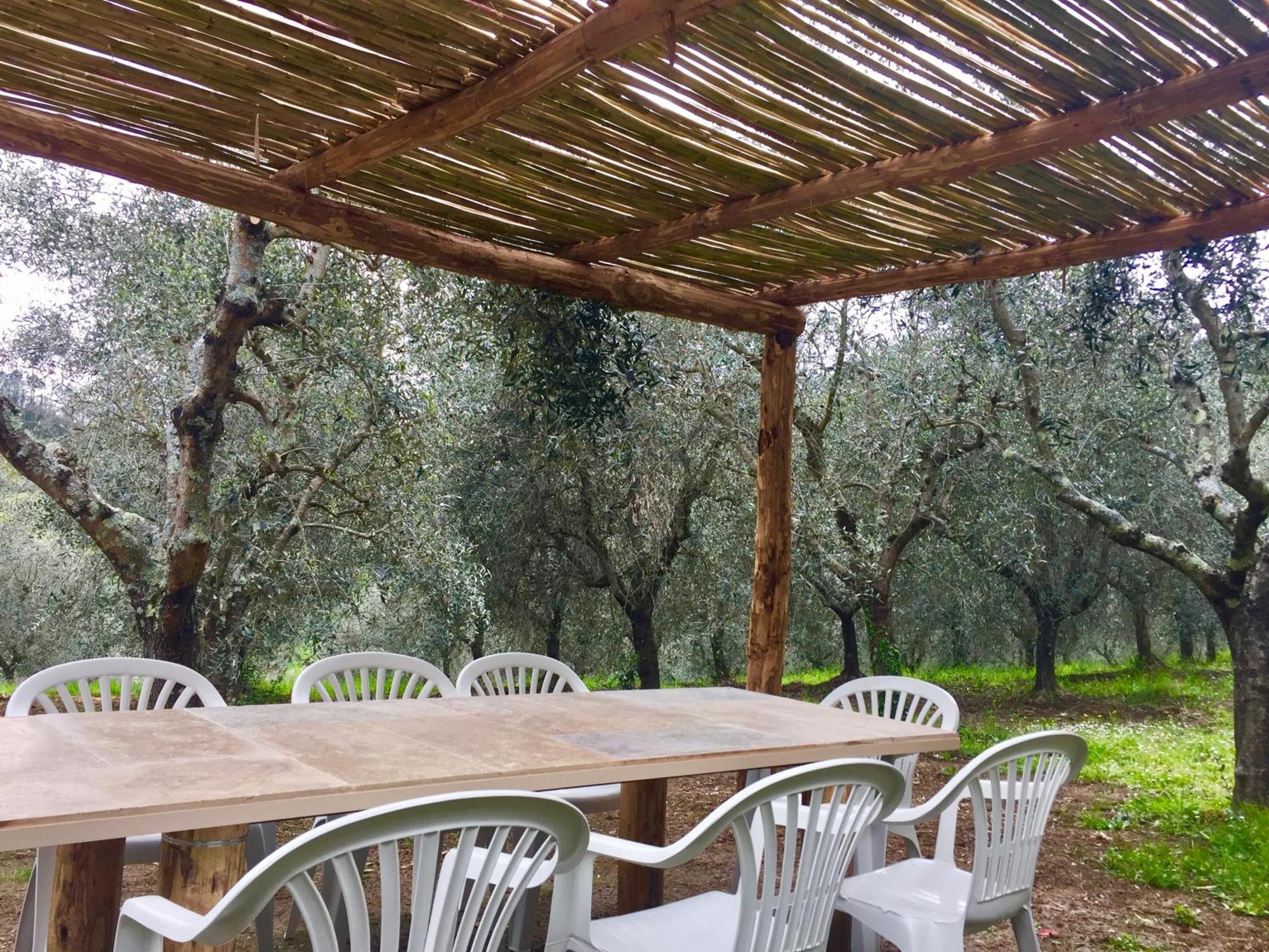 Agriturismo Fattoria Celle Figline Valdarno Rom bilde
