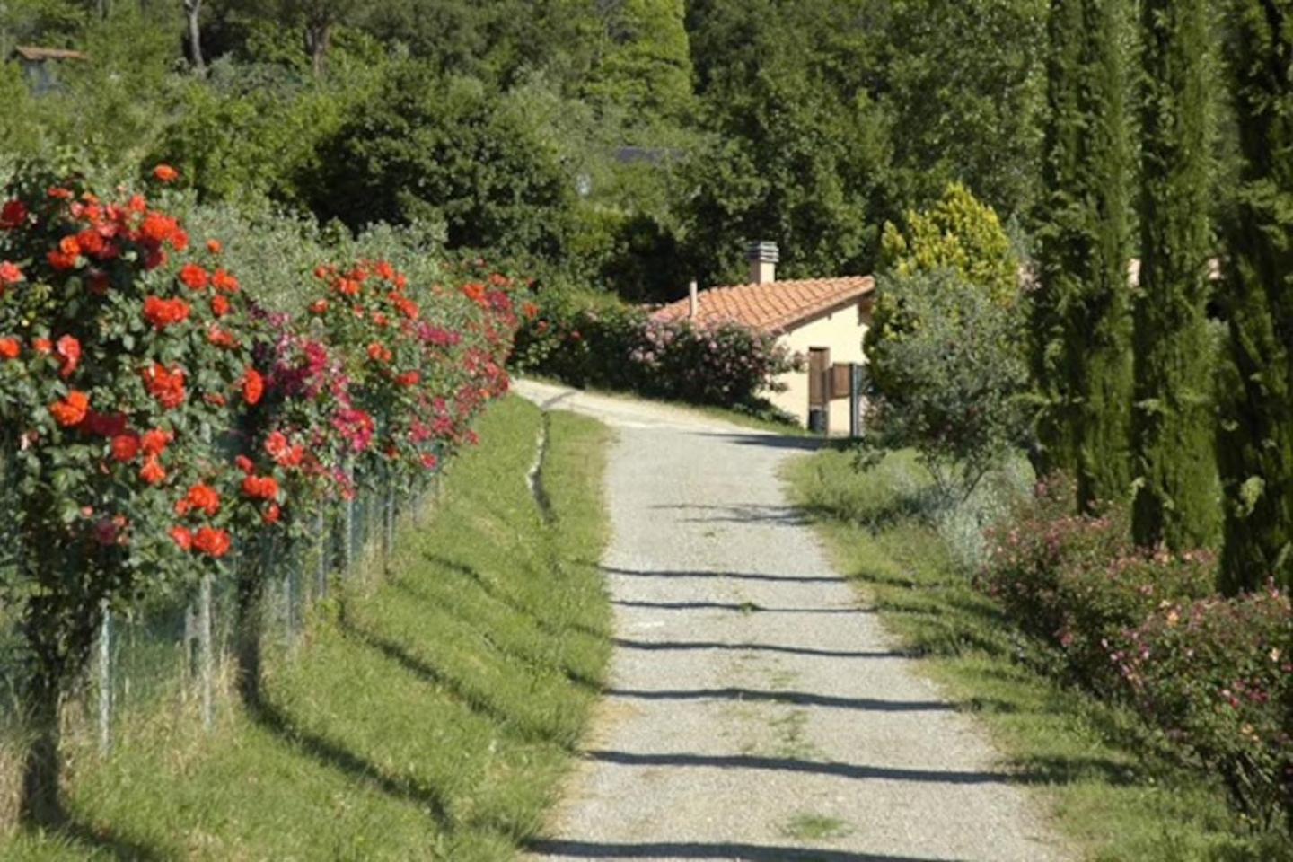 Agriturismo Fattoria Celle Figline Valdarno Rom bilde